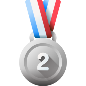 Silver Supporter